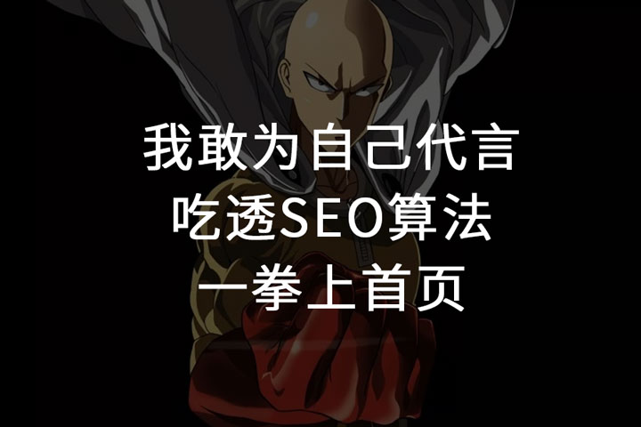 本SEO工具成功案例